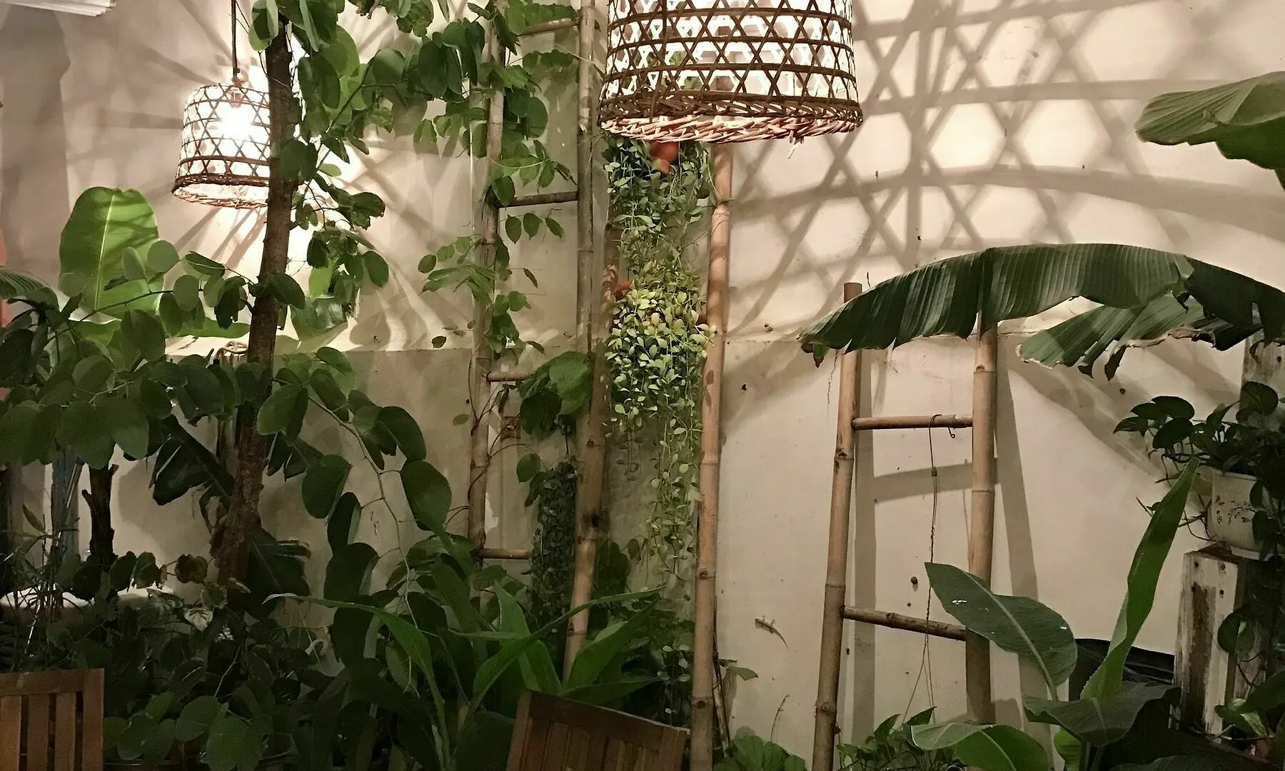 Vivid Seaside Homestay نها ترانج